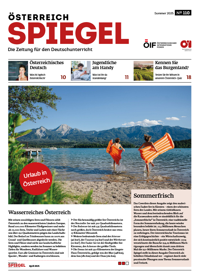 Österreich Spiegel Nr. 110