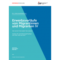 Forschungsbericht Erwerbsverläufe IV